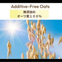 スポーツエキスパート オートミールFINE 300g 1袋 日本食品製造