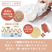 キッチンスポンジ ザララ 汚れをするんと落とすスポンジ 抗菌 マロン 日本製 1セット（1個×10）キクロン