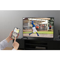 アイリスオーヤマ 43V型 4K Google TV LT-43UGX-F1 1台