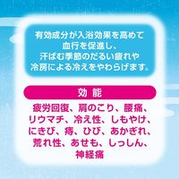 入浴剤 クールいい湯旅立ち　納涼にごり湯の宿 4種アソート にごり湯タイプ 1箱（8包入）医薬部外品 白元アース