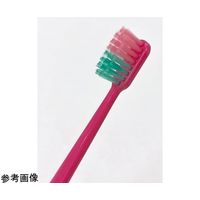 GSIクレオス HAIKARA:full スリムヘッド歯ブラシ ふつう 12本入 GB19-82200S 1箱(12本)（直送品）