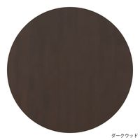 イースタン工業 流し台(コンフィIIシリーズ・作業台/引出し付き) シンクユニット左仕様 ホワイト CY2-120L 1セット（直送品）