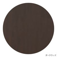 イースタン工業 流し台(コンフィIIシリーズ・全槽シンク) 600×460×800mm ナチュラルウッド CY2-60S-N 1セット（直送品）