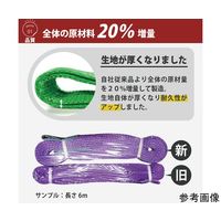 アズワン スリングベルト 両端アイ形 ベルト幅:35mm 全長:3m 67-2186-68 1本（直送品）