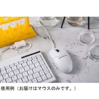 防水ウォッシャブルマウス プラスチック 光学式 IP68保護 CleanType 115×61.6×36mm MPL-U10070 1個（直送品）