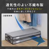 アストロ 活性炭着物収納ケース スリム 171-66 1セット(1個×10)（直送品）