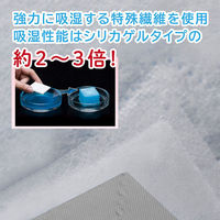 アストロ ドライ&ドライ吸湿防ダニ衣類収納袋 グレー 616-38 1セット(1個×10)（直送品）