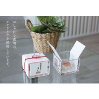 伊予結納センター 日本製 縁起物ギフトBOX 升ぽち きもちです S065-11 1個（直送品）