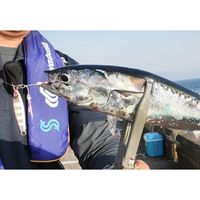 ハヤブサ FS426-30-12 TG スクイッドグロードット 1個（直送品）