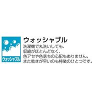 川島織物セルコン ウォッシャブル レースカーテン DC1023S 1000×1760mm クリーム 1枚（直送品）