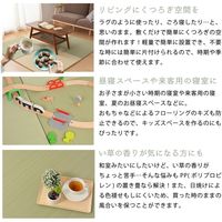 萩原 水拭きできる すき間ができにくい い草風 小型置き畳 幅650×奥行650×高さ15mm グリーン 159055211 1枚（直送品）