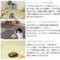 萩原 水拭きできる い草風 置き畳 彩模様 幅820×奥行820×高さ25mm ブラウン 159055692 1セット(9枚入)（直送品）