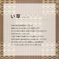 萩原 涼しさを感じられる和風な市松柄のい草ラグ キハチ 180cm×180cm ブルー 81948401 1枚