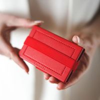 EVERLESS スマートエコバック　レッド SM1901RD 1個（直送品）