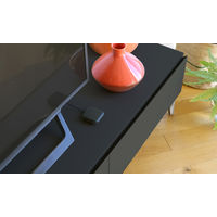 ネイチャー 【限定商品】Nature Remo mini 2 Premium REMO-2B2 1個（直送品）