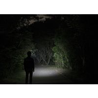 ジェントス ヘッドウォーズハイブリッドBL HW-X533H 1個