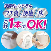 ルックプラス 泡ピタ トイレ洗浄スプレー ウォーターリリーの香り つめかえ用 250ml 1個 トイレ用洗剤 ライオン