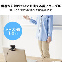 PCマイク ピンマイク クリップマイク USB-A接続 収納ポーチ 1.8m HS-MC09UBK 1個 エレコム