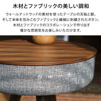 ホームテイスト サイドテーブル Bluetooth対応スピーカー搭載 ブルーティア 幅408×奥行408×高さ61mm ウォールナット 1台（直送品）