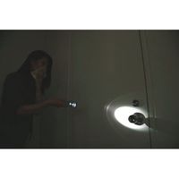 ナイトスターJP 2本入り DDSNS2GR 1セット（2本入り） 大作商事（直送品）