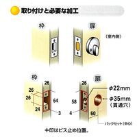 アルファ シリンダー本締錠 サテン 2190-32D 1セット（直送品）