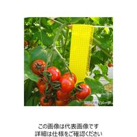 一色本店 ビタットトルシー ネット付 S 25P 黄色 50×350mm 50X350mm 1個(25枚)（直送品）