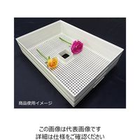 東明テック 家庭用食品乾燥機 プチマレンギDX TTMー440N 1個（直送品）