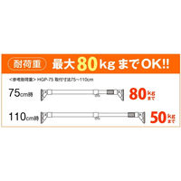 平安伸銅工業 ハイカム超極太ポール 小 HGP-75 10本
