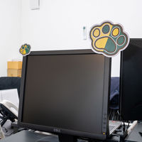 向島自動車用品製作所 カー用品 肉球ビギナーステッカー 中 MPC-029 1枚（直送品）