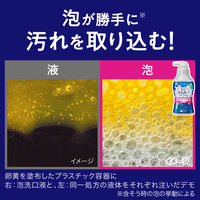 洗口液 ピュオーラ 泡で出てくる洗口液 クリアミント 180mL 花王