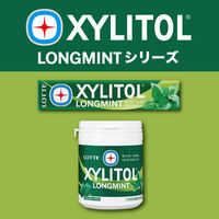 ガム 大容量 キシリトールガム ロングミント オリジナルミント ファミリーボトル 133g 1セット（1個×3）