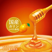 のど飴 キャンディ カリンのど飴 贅沢マヌカハニー ミニパウチ 25g 1セット（1個×24）