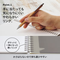 リヒトラブ ソフィーチェノート A5 スレートブルー リーフ30枚 N3203-11 1セット(1冊×10)