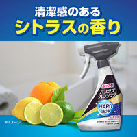ルックプラス バスタブクレンジングHARD洗浄 本体 500mL 1セット（1個×2） ライオン