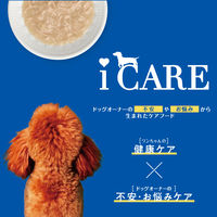 i CARE（アイケア）関節ケア ささみ とろみタイプ 国産 40g 6袋 アイシア ドッグフード ウェット パウチ