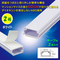 オーム電機 テープ付ABSモール 2号 60cm ホワイト 2本入 09-1002 1セット(2本入)（直送品）
