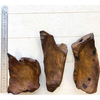 トモ・コーポレーション 香立て チークの根っこトレイ インセンスホルダー 木製 407910 1個（直送品）