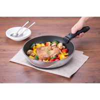 北陸アルミニウム 着脱式ハンドル CAST VARIUS専用取っ手 479706 1個（直送品）