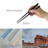 合同会社ビランク 箸箱セット FIG 19.5cm 箸&ケース ベージュ 479828 1個（直送品）