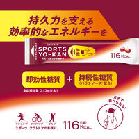 井村屋　スポーツようかん　あずき　1セット（1箱（5本入）×3）　スティックタイプ