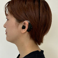 デジタルランド 充電式スマート耳掛け集音器2個組 a34539 1セット(2個入)（直送品）