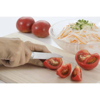 カクセー 中村孝明ステンレス包丁&まな板セット a35172 1個（直送品）