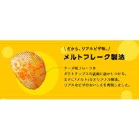 スナック菓子 ポテトチップス 食べきりサイズ ピザポテトBIG 126g 1セット（1個×3）
