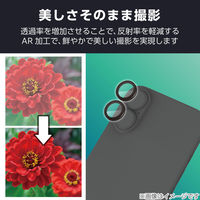 iPhone17 レンズガラスフィルム 高透明 10H 指紋防止 貼り付けツール付 ブラック PM-A25AFLLGBK エレコム 1個（直送品）