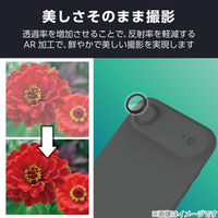iPhone Air レンズガラスフィルム 超透明 光反射軽減 10H ブラック PM-A25BFLLGARBK エレコム 1個（直送品）