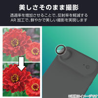 iPhone Air レンズガラスフィルム 高透明 10H 指紋防止 ブラック PM-A25BFLLGBK エレコム 1個（直送品）
