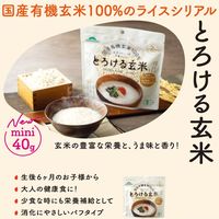 とろける玄米　お湯と混ぜるだけの10秒おかゆ　1セット（1袋（40g）×3）　国産有機玄米100%使用　ニューグリーン