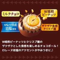 チョコレート菓子 ザクザクチョコボール　ピーナッツ　48g 1セット（1個×5）