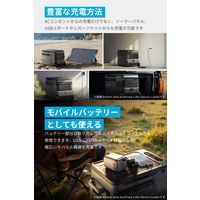 Anker Solix EverFrost 2 23L Electric Cooler A17A35A1 1個