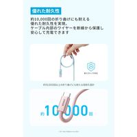 Anker Zolo USBーC & ケーブル(240W高耐久ナイロン)1.8m A8060112 1本